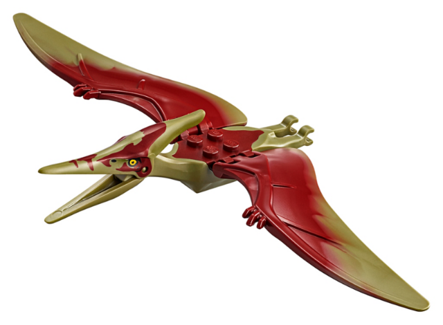Ptera05